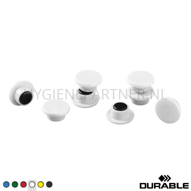 SB351012-50 Whiteboard magneet wit